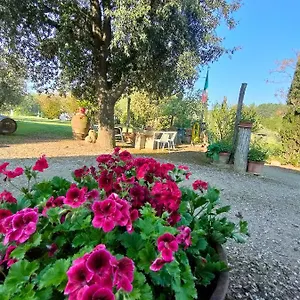 Azienda Agricola Polveraia Alloggio per agriturismo